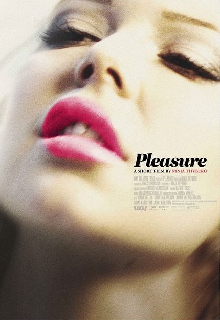 Pleasure (2013)