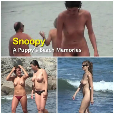 Snoopy`s A Puppy`s Beach Memories 1 HD