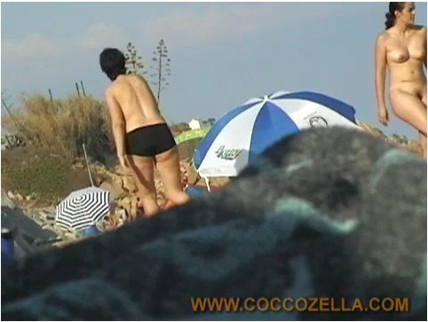 Beach Hunters Coccozella