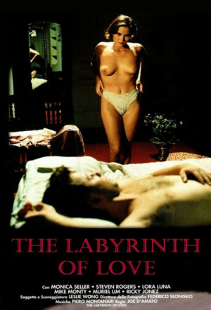 The Labyrinth of Love (1993)