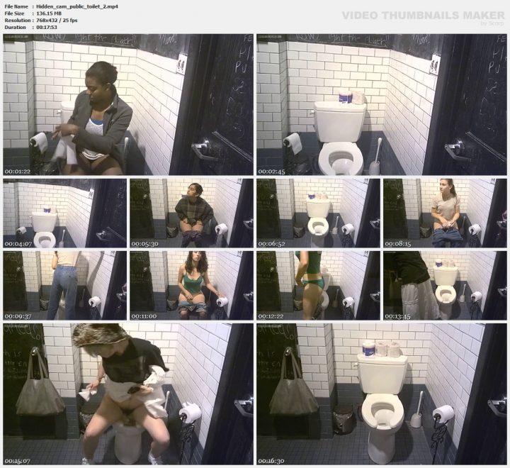 Hidden cam public toilet 2