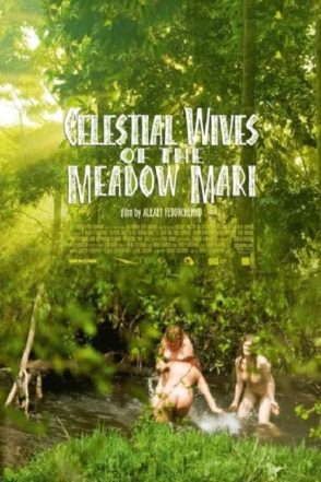 Celestial Wives of the Meadow Mari 2012