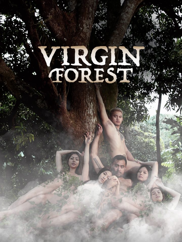 Virgin Forest 2022
