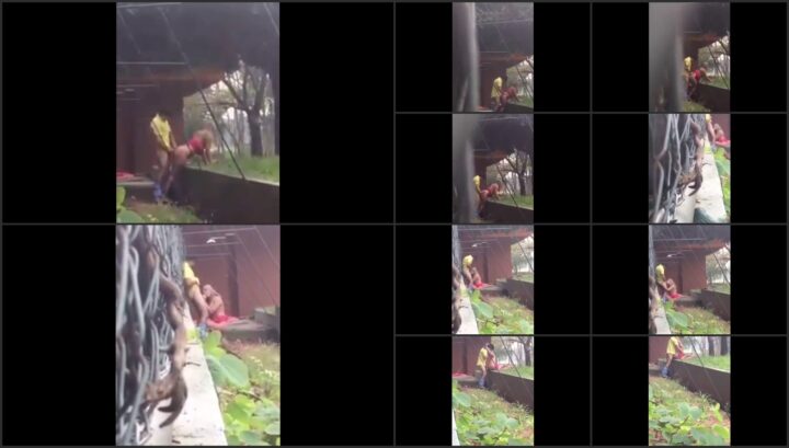 Very nice fuck from behind