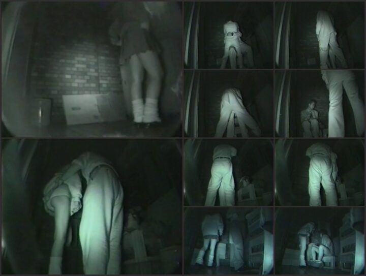 Sex on the streets of Japan 13