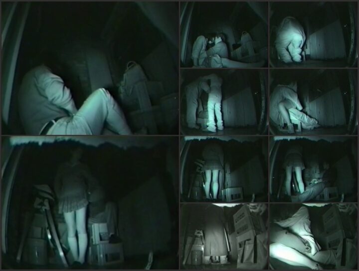 Sex on the streets of Japan 15